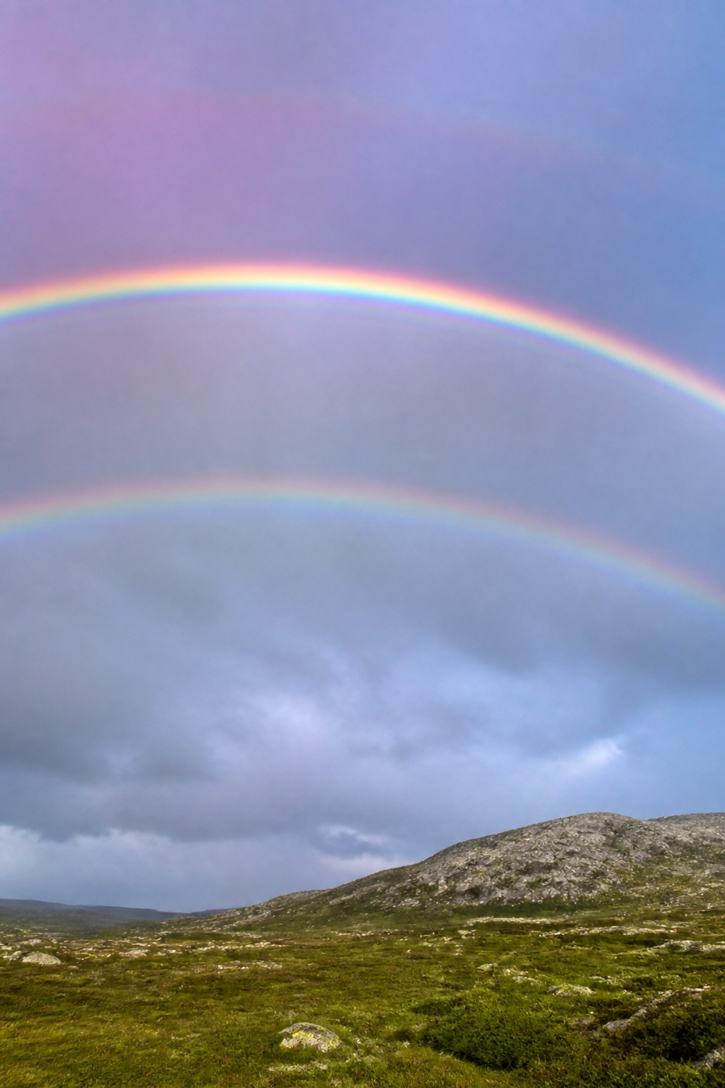 Fines bandes vertes et roses serrées sous le bord violet d'un arc-en-ciel primaire, formant des arcs surnuméraires