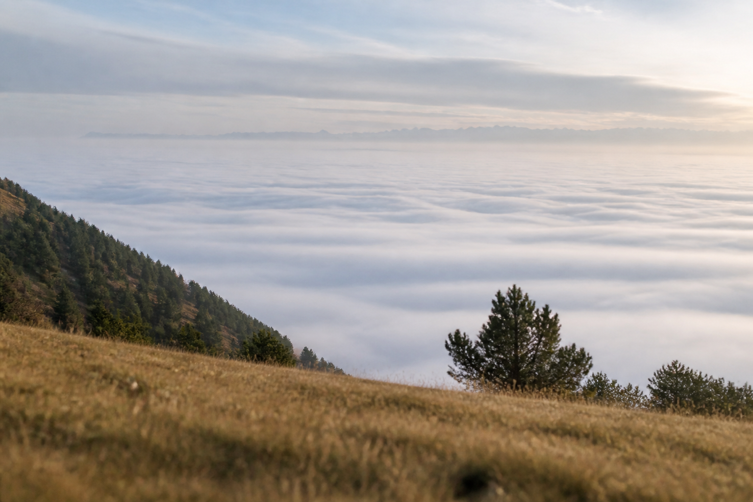 Nappe de brouillard de rayonnement remplissant le fond d'une vallée au lever du jour