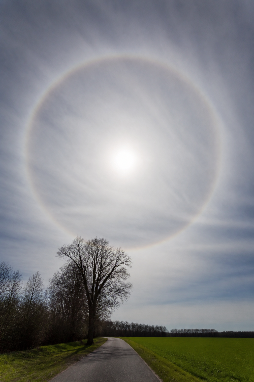 Voile laiteux de cirrostratus autour du soleil, avec un anneau de halo nettement visible et des ombres encore marquées au sol